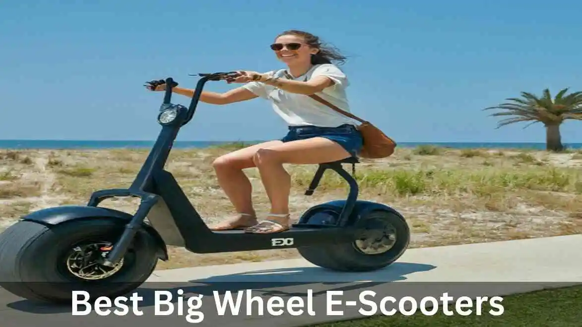 Big Wheel Electric Scooters 2024 (10-18Inches)