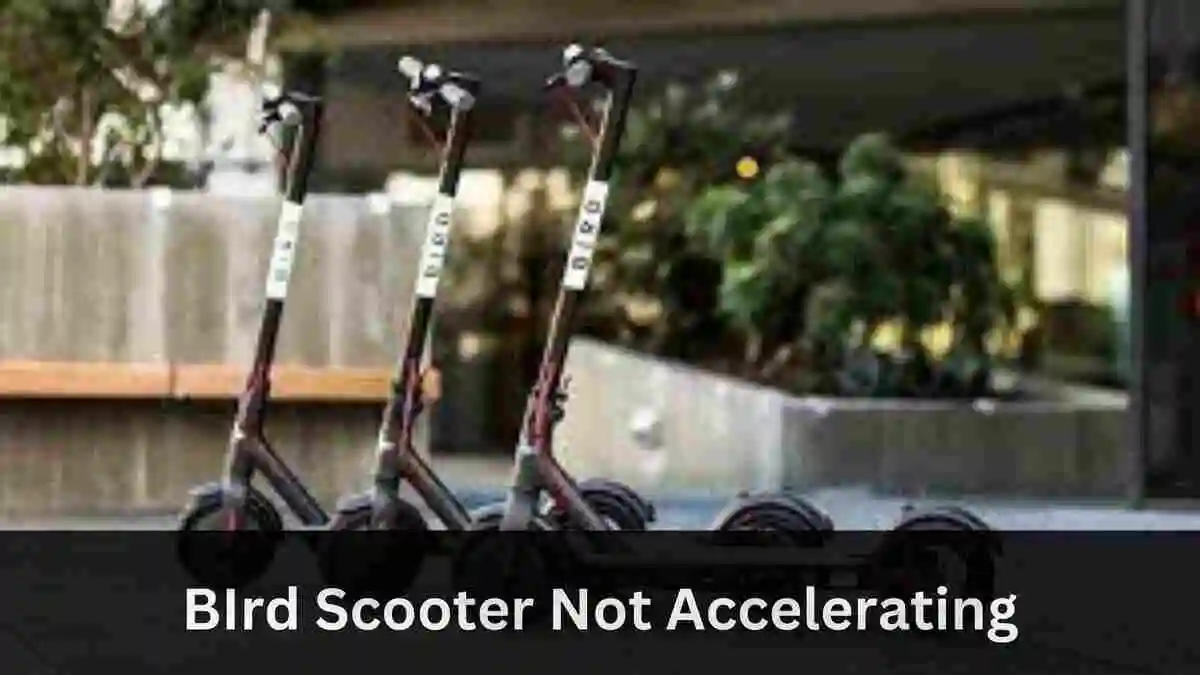 Bird Scooter Not Accelerating (6 FIXES)