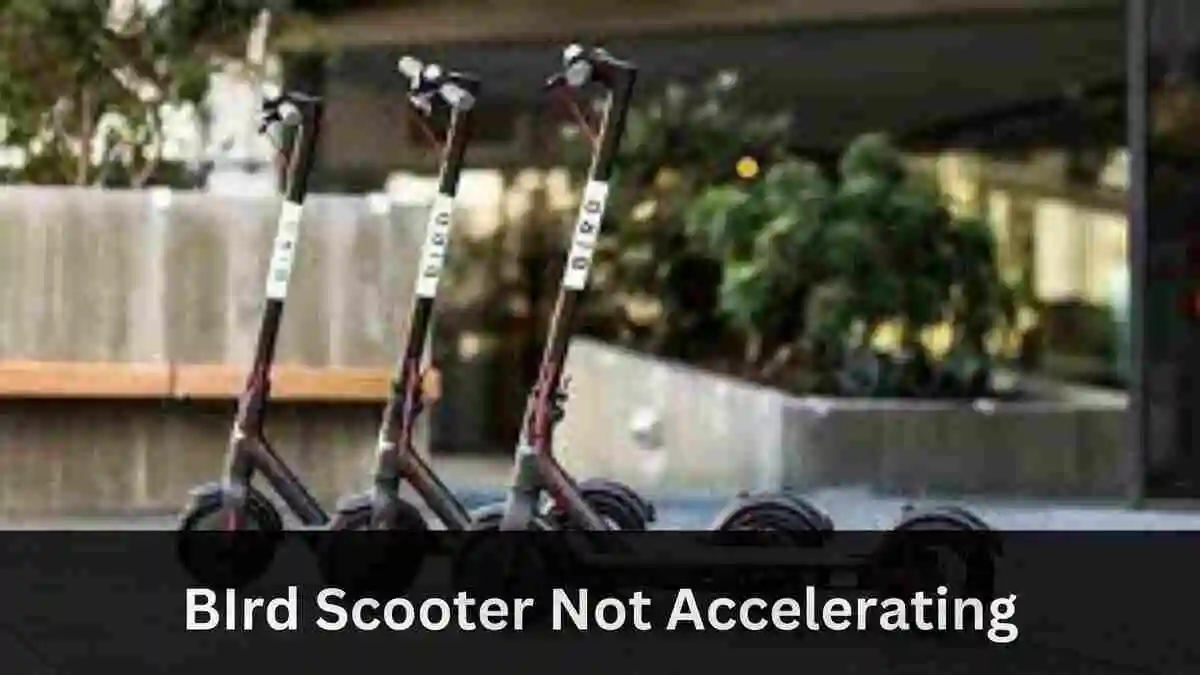 bird-scooter-wont-accelerating